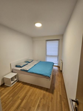 Luxurios Apartment Sarajevo